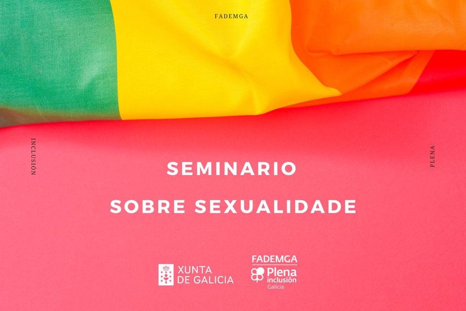 Seminario sobre a sexualidade das persoas con discapacidade intelectual