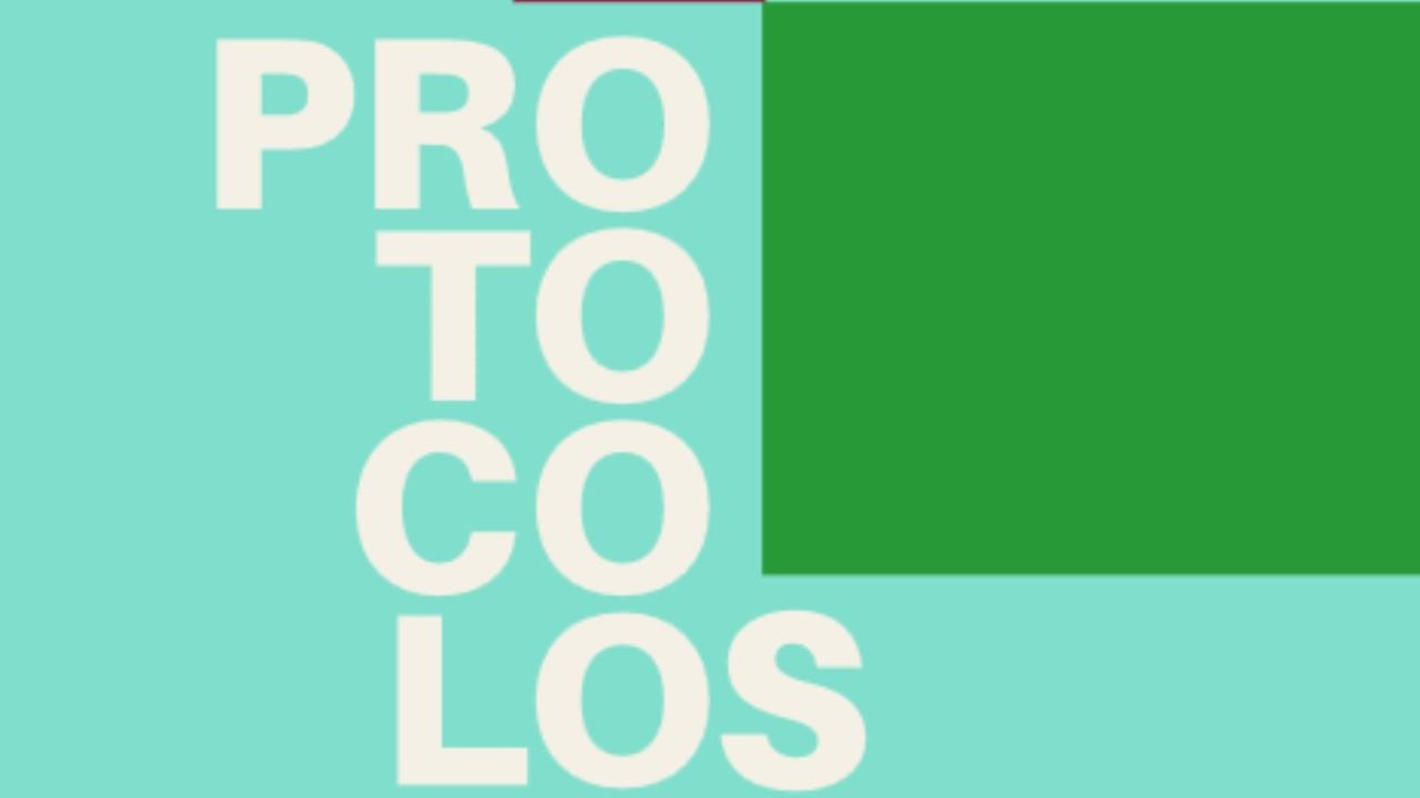 Protocolos para la reducción de prácticas restrictivas en las organizaciones de apoyo a personas con discapacidad intelectual y otras discapacidades del desarrollo